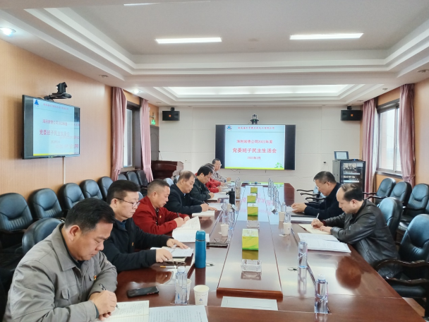 哇哈体育常德公司召开2022年度党委班子民主生活会
