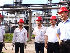 副省长戴道晋莅临哇哈体育株洲公司检查调研安全生产工作