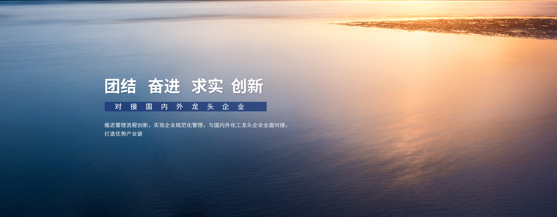 哇哈体育是什么